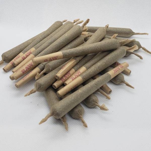 pre roll extra large 25 pieces