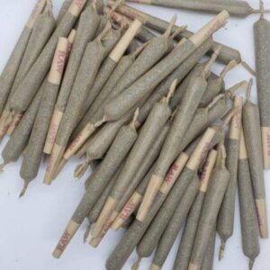 extra large pre-roll 50 quantity