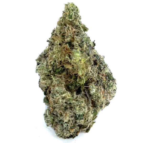 bud of jack frost marijuana strain